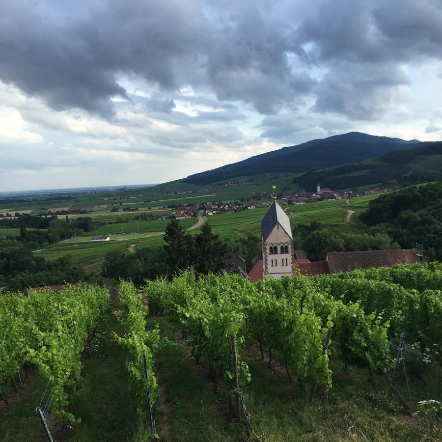 Gite Fleur De Vignes Itterswiller Zewnętrze zdjęcie
