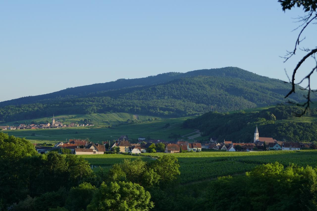 Gite Fleur De Vignes Itterswiller Zewnętrze zdjęcie