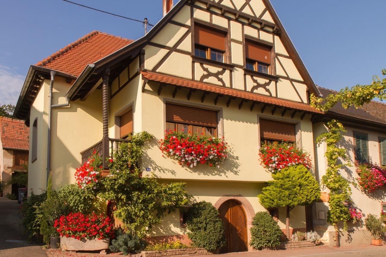 Gite Fleur De Vignes Itterswiller Zewnętrze zdjęcie